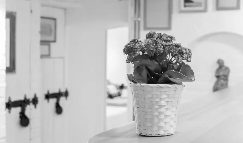 �d�m Apartman Balatonf�ldv�r - Balatoni kedvezm�nyes �rak 
