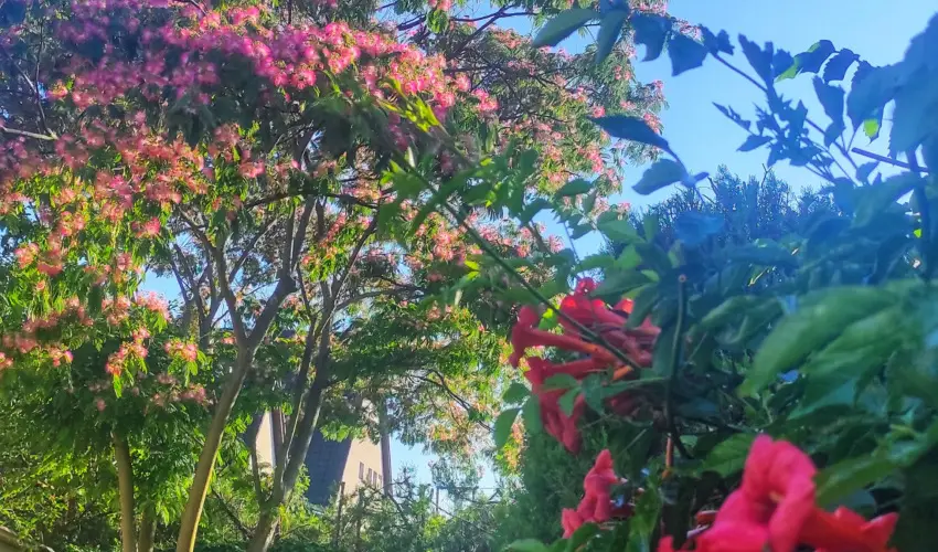 Balla Apartmanhz Sifok - Mjus 1. (min. 2 j)