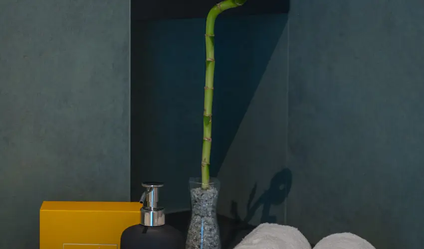 BJ81 Suite Hotel Siófok - Vissza nem térítendő ajánlat reggelivel (1 éjtől)