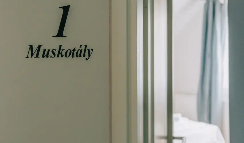 Borbartok Panzi Badacsonytomaj - Szilveszter