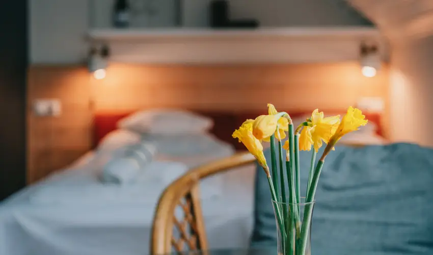 Borbartok Panzi Badacsonytomaj - Szilveszter