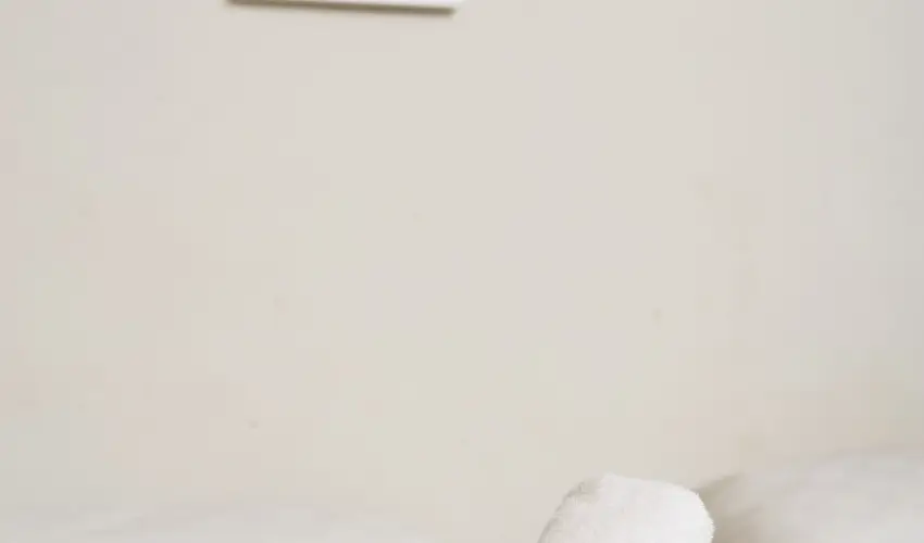 CE Napf�ny Hotel  Si�fok - Augusztus 20.