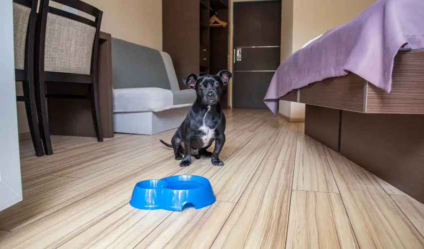 CE Plaza Hotel Siófok - Négycsillagos wellness élmények teljes ellátással (min. 2 éj)