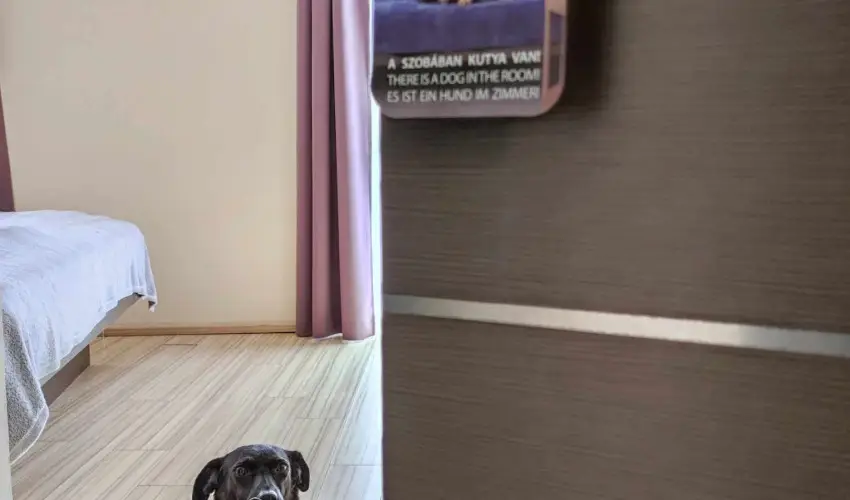 CE Plaza Hotel Siófok - Négycsillagos wellness élmények teljes ellátással (min. 2 éj)