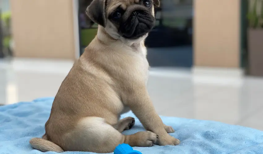 CE Plaza Hotel Siófok - Négycsillagos wellness élmények teljes ellátással (min. 2 éj)