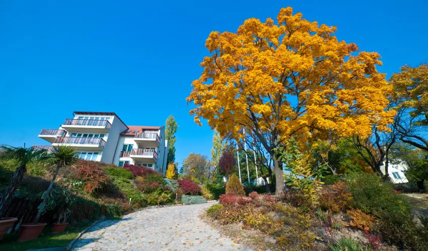 Echo Residence All Suite Hotel Tihany - Szilveszter (min. 2 j)