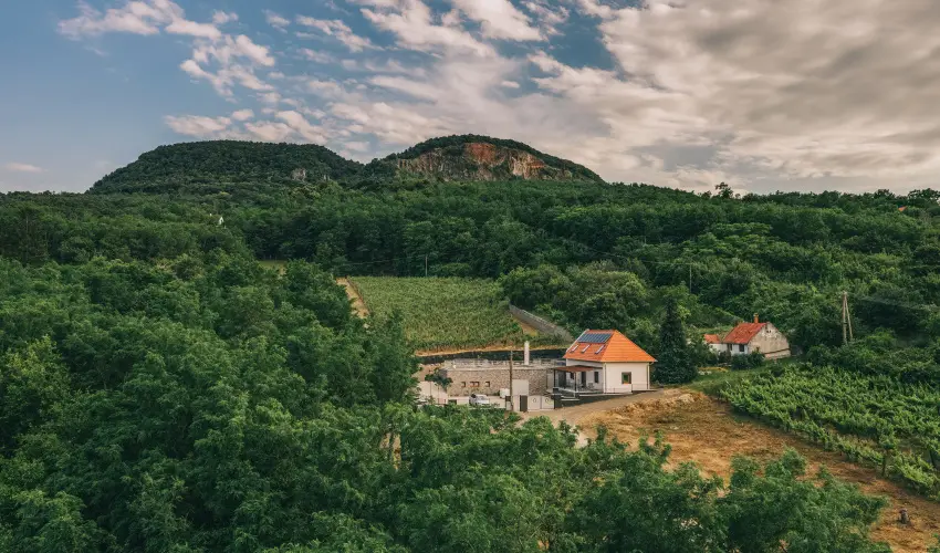 FATA Birtok Vendghz Nemesgulcs - Mjus 1. (min. 2 j)