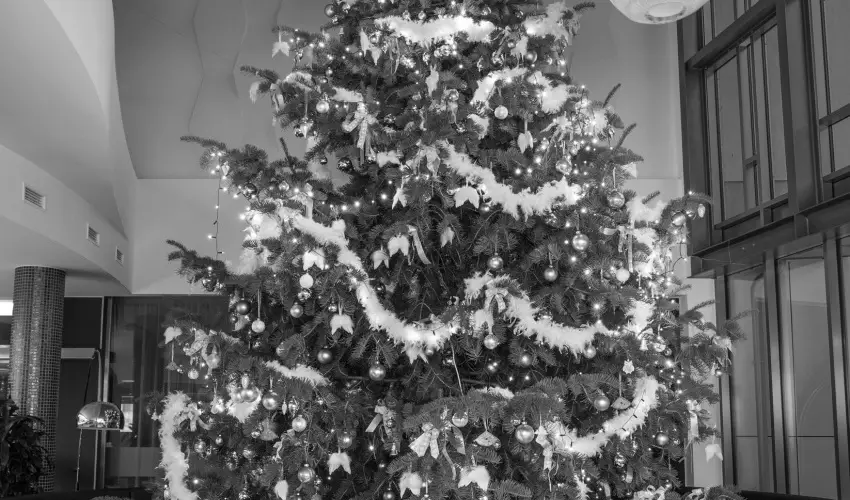 Aura Hotel Balatonfred - Oktber 23.                                                                                                                                                                                                                                                    