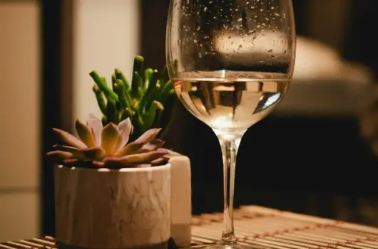 Hotel Bonvino Wine & Spa - 1 �jszak�s aj�nlat