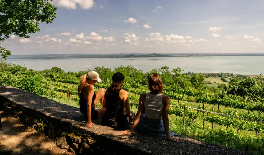 Hotel Bonvino Wine & Spa Badacsony - 2 �jszak�s aj�nlat
