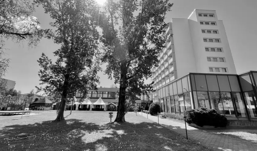 Hotel Magistern Konferencia & Wellness Sifok - Balatoni vakci flpanzival (min. 2 j)