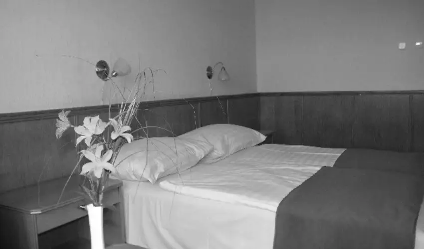 Hotel Magistern Konferencia & Wellness Sifok - Balatoni vakci flpanzival (min. 2 j)