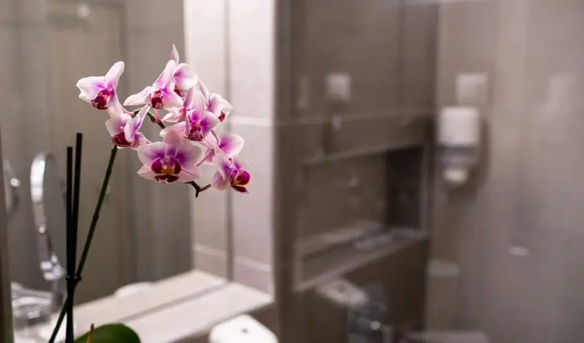 Hotel Margaréta Balatonfüred - Balatoni kedvezményes ár félpanzióval (1 éjtől)