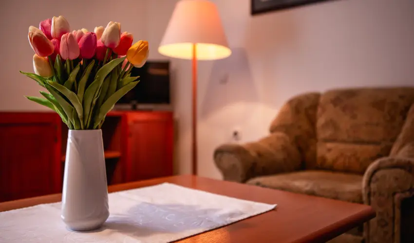 Hotel Ovit Keszthely - Téli feltöltődés (1 éjtől)