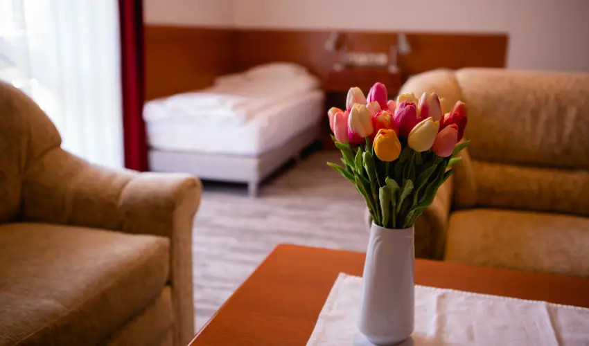 Hotel Ovit Keszthely - Téli feltöltődés (1 éjtől)