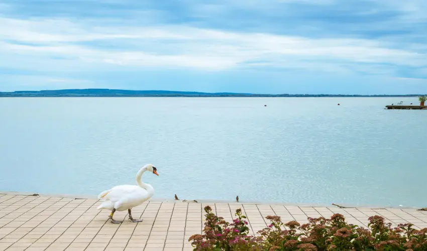 Hotel Ovit Keszthely - Téli feltöltődés (1 éjtől)