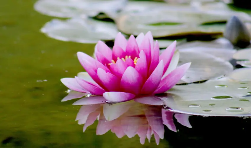 Hotel Ovit Keszthely - Téli feltöltődés (1 éjtől)