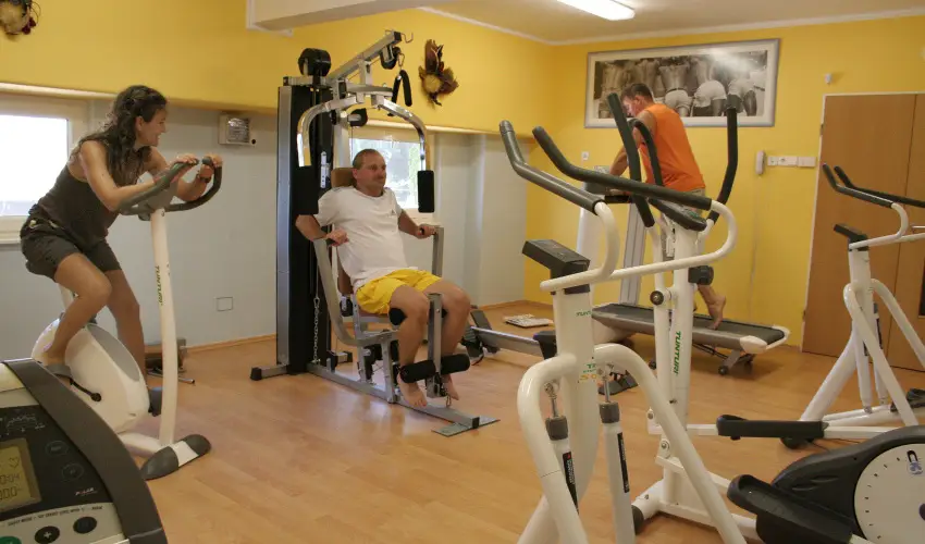 Hotel Panoráma Balatongyörök Balatongyörök - Frissítő tavasz (min. 2 éj)