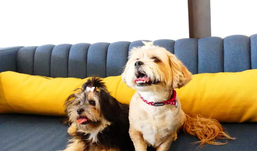 Hotel Yacht Wellness & Business Sifok - Balatoni kedvezmnyes r flpanzival (1 jtl)