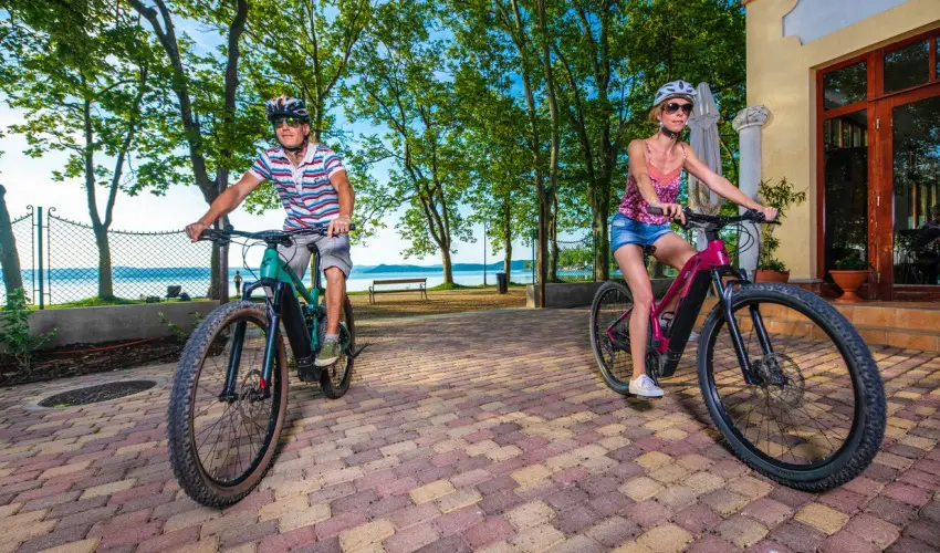 Hotel Anna Villa Balatonfldvr - Karcsony