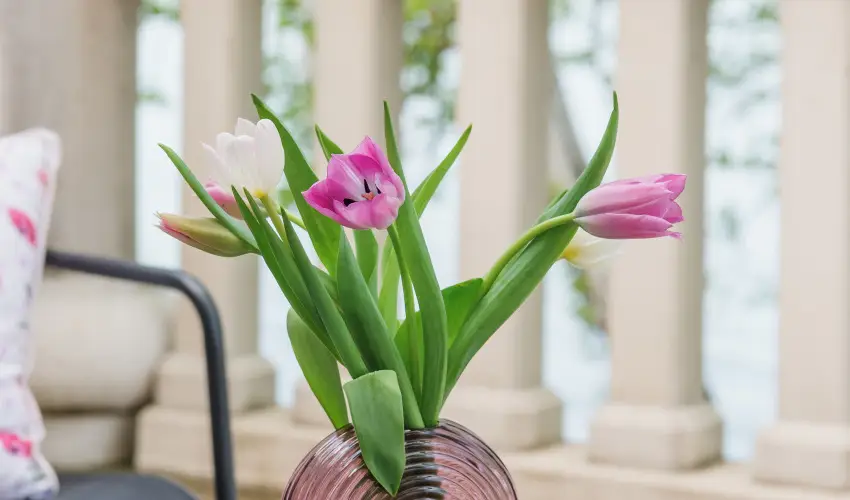 Hotel Anna Villa Balatonfldvr - Karcsony