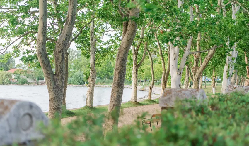 Hotel Anna Villa Balatonfldvr - Karcsony