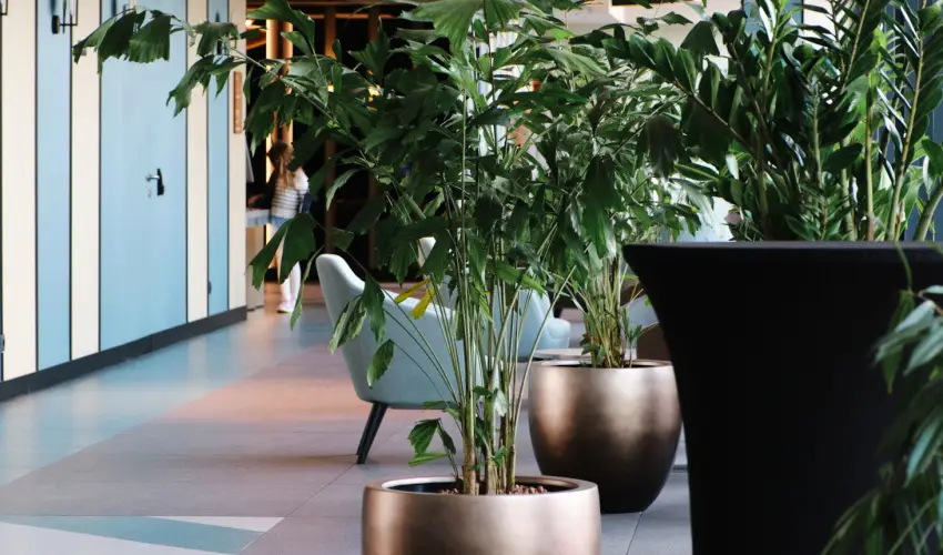 Hunguest Hotel B�l Resort Balatonalm�di - Szilveszter (min. 2 �j)