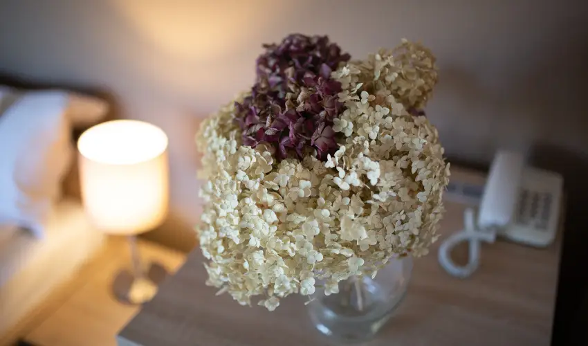 Zsanett Hotel Balatonkeresztr - Augusztus 20.