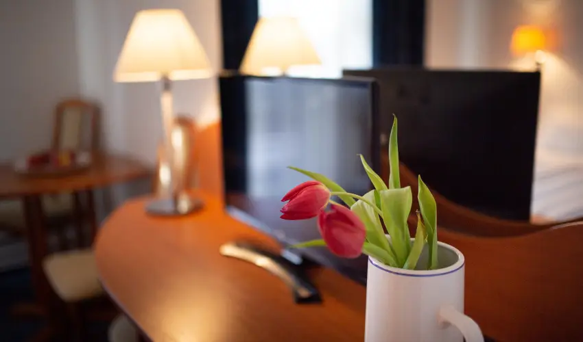 Zsanett Hotel Balatonkeresztr - Augusztus 20.