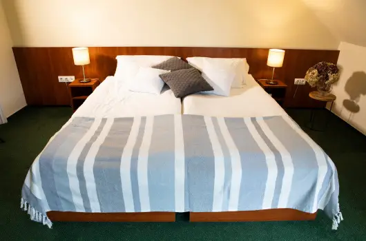 Zsanett Hotel - Balatoni kedvezm�nyes �rak �nell�t�ssal (1 �jt�l)