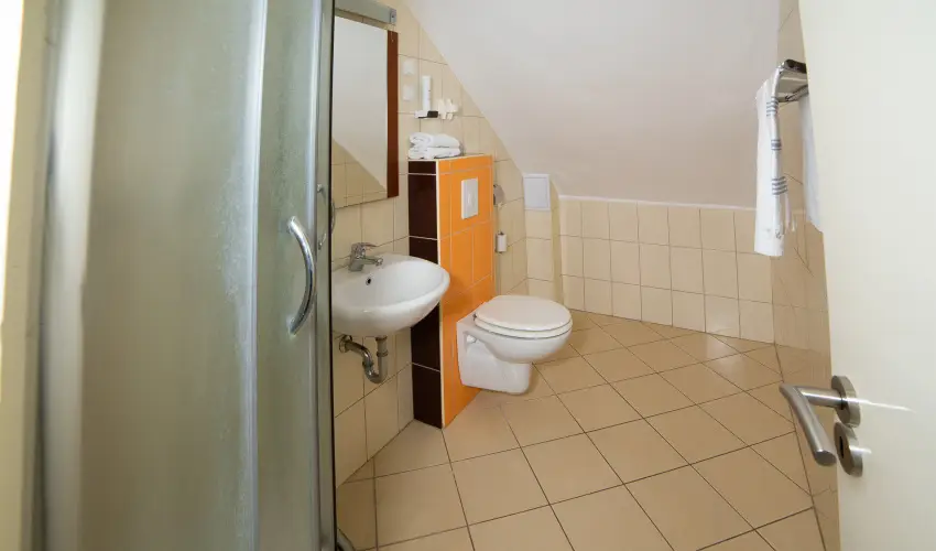 Zsanett Hotel Balatonkeresztr - Augusztus 20.