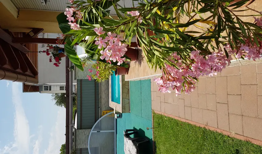 Napsug�r Resort Si�fok - Balatoni kedvezm�nyes �rak (1 �jt�l)