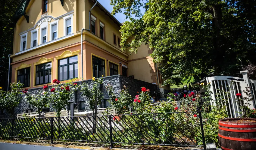 Neptun Badacsony Badacsony - Pnksd (min. 2 j)