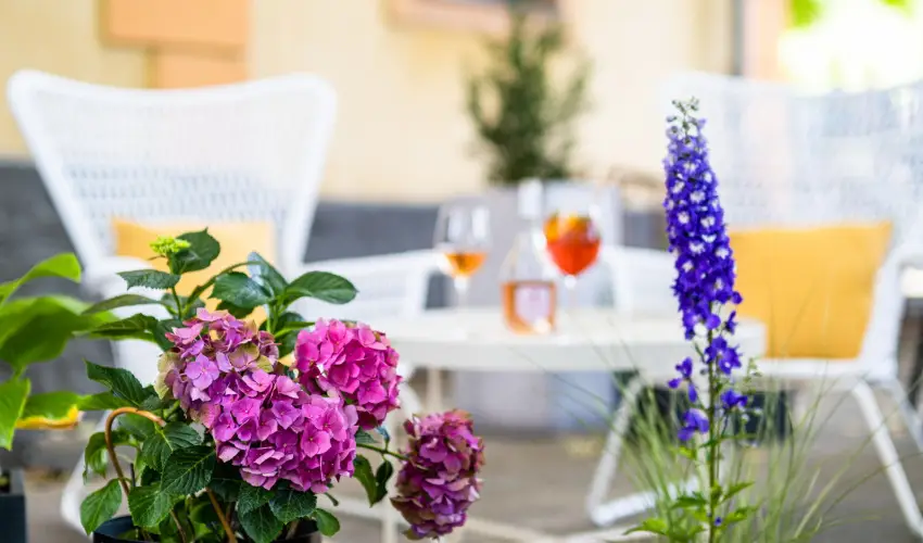 Neptun Badacsony Badacsony - Pnksd (min. 2 j)