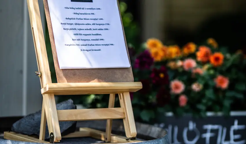 Neptun Badacsony Badacsony - Pnksd (min. 2 j)