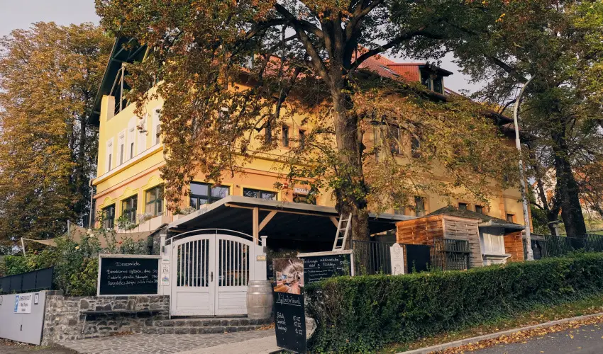 Neptun Badacsony Badacsony - Pnksd (min. 2 j)