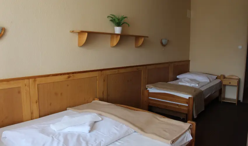 Nereus Park Hotel Balatonalm�di - Balatoni kedvezm�nyes �rak ell�t�s n�lk�l (1 �jt�l)