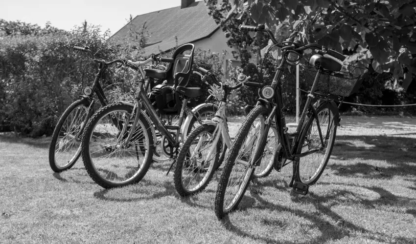 Pelso Panzi� Balatonm�riaf�rd� - M�jus 1.