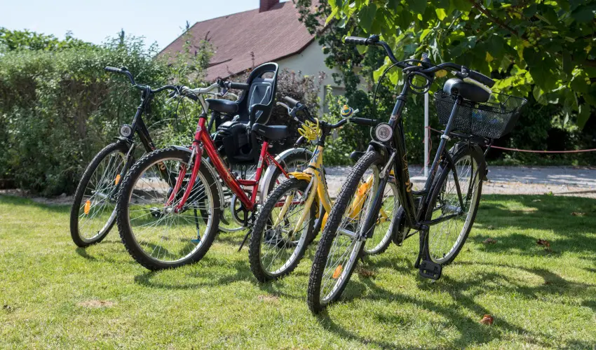 Pelso Panzi Balatonmriafrd - Hsvt - teljes elrefizetssel (min. 3 j)