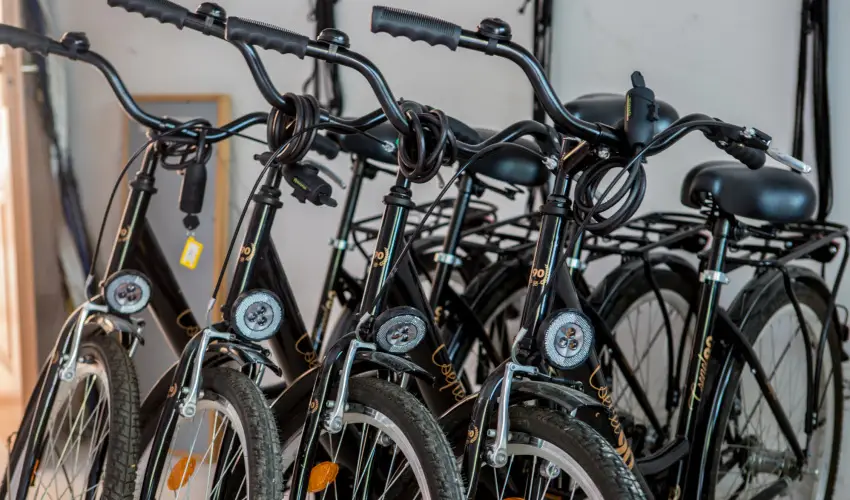 Pelso Panzi Balatonmriafrd - Hsvt - teljes elrefizetssel (min. 3 j)