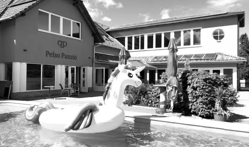 Pelso Panzi� Balatonm�riaf�rd� - M�jus 1.