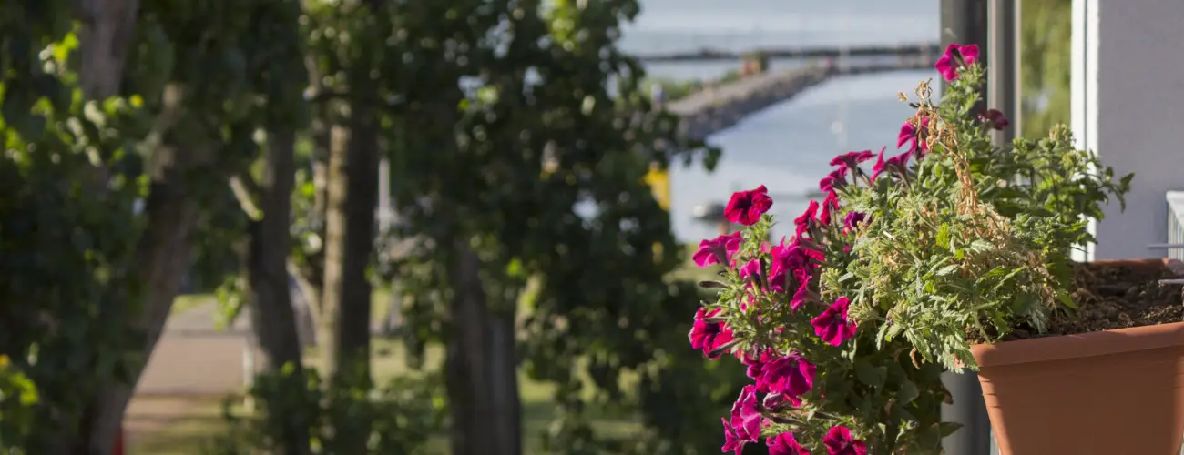 Port tterem & Panzi Balatonmriafrd - Mjus 1.
