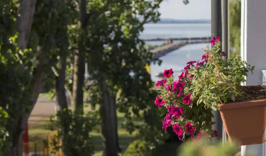 Port Étterem & Panzió Balatonmáriafürdő - Kedvezményes ajánlat all inclusive ellátással (1 éjtől)