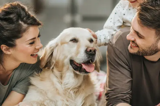 PSZ Hotel Beach F�ldv�r, Balatonf�ldv�r