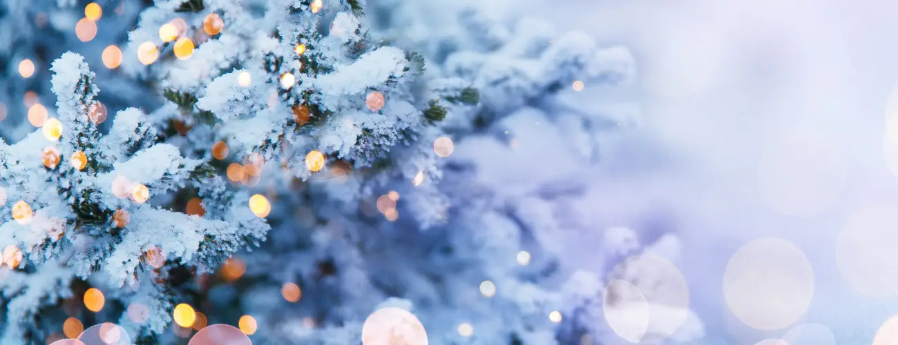 Residence Hotel Balaton Siófok - Karácsony