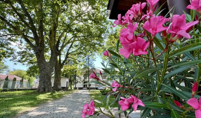 Sirly Hotel Balatonlelle - Balatoni kedvezmnyes rak reggelivel (1 jtl)