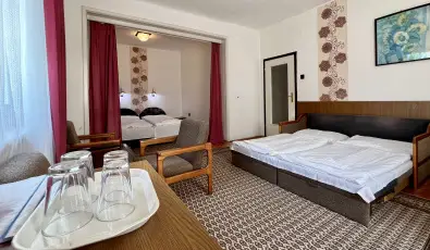 Sirly Hotel Balatonlelle