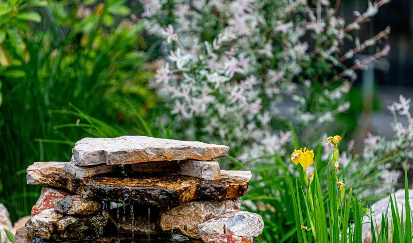 SunGarden Wellness Hotel Siófok - Egy éjszakás wellness kaland (1 éjszaka)