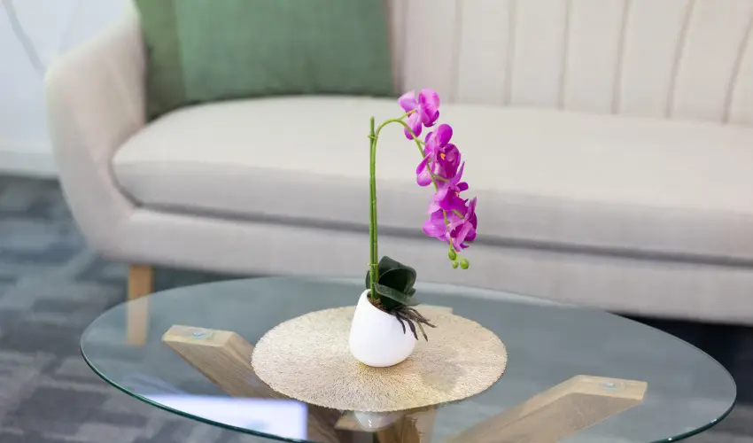 TOK Zamrdi Zamrdi - Szilveszter (min. 2 j)