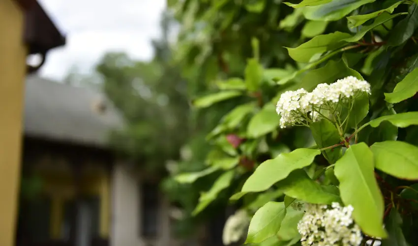 Torncos Vendghz Krshegy - Oktber 23. (min. 2 j)